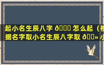 起小名生辰八字 🐘 怎么起（根据名字取小名生辰八字取 🌻 小名）